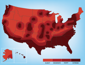 cockroach_map