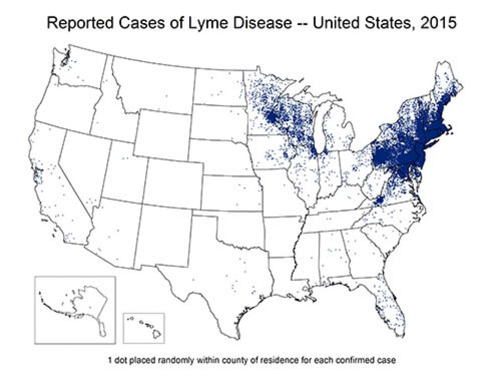 2015-dot-map