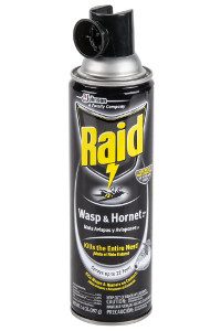 raid-wasp-hornet-14oz