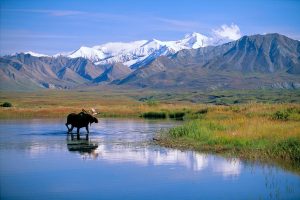 denali alaska