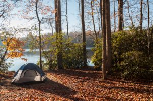 Camping tent in the woods by the lakeside