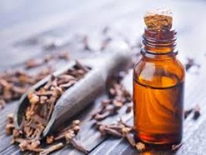 clove oil mosquito