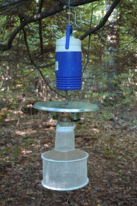 DIY Mosquito Trap