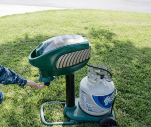 mosquito trap
