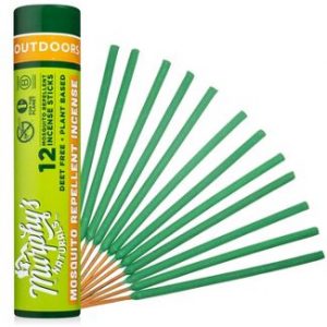 citronella stick wasp