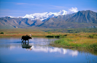 5 Incredible Places to Visit (with bug spray)