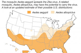 Mosquito Range in the US
